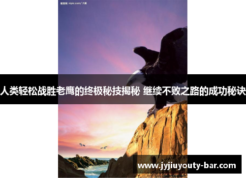 人类轻松战胜老鹰的终极秘技揭秘 继续不败之路的成功秘诀