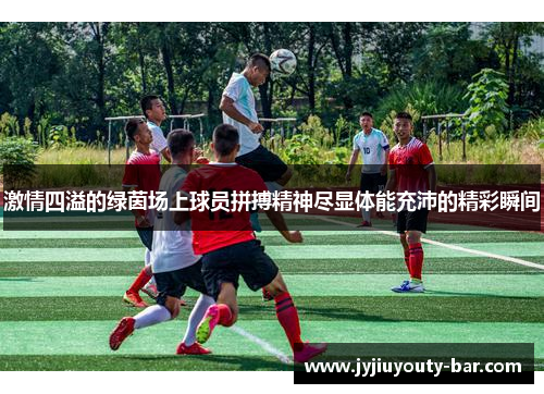 激情四溢的绿茵场上球员拼搏精神尽显体能充沛的精彩瞬间