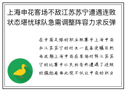 上海申花客场不敌江苏苏宁遭遇连败状态堪忧球队急需调整阵容力求反弹