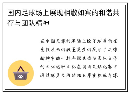 国内足球场上展现相敬如宾的和谐共存与团队精神