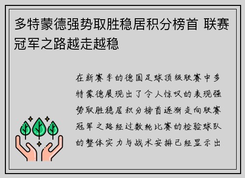 多特蒙德强势取胜稳居积分榜首 联赛冠军之路越走越稳